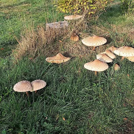Dans Ancienne Ferme, Aux 4 Saisons Casa vacanze
